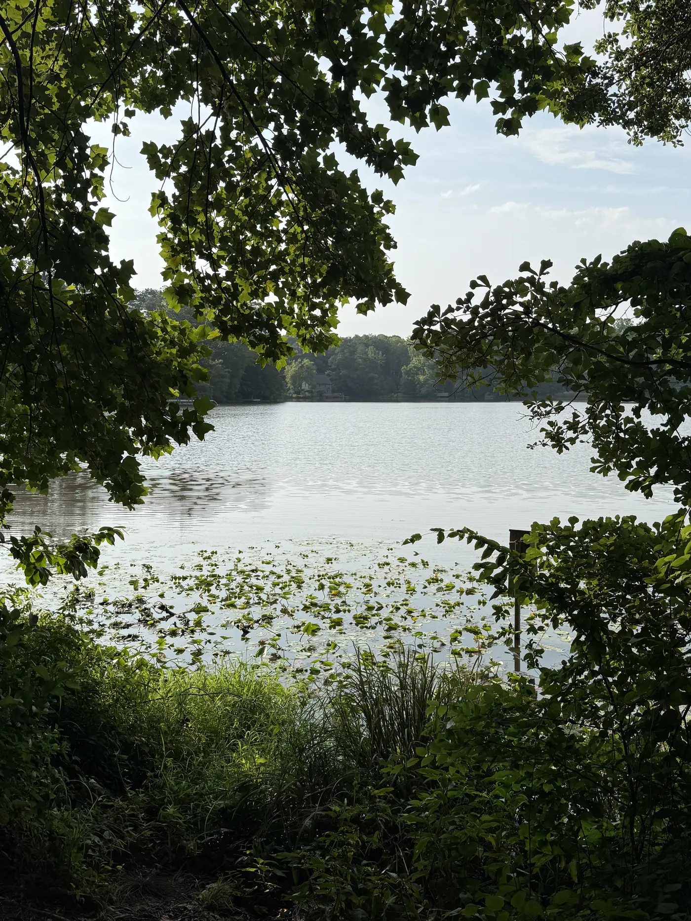 The Lochmere lake shoreline with docks and pines