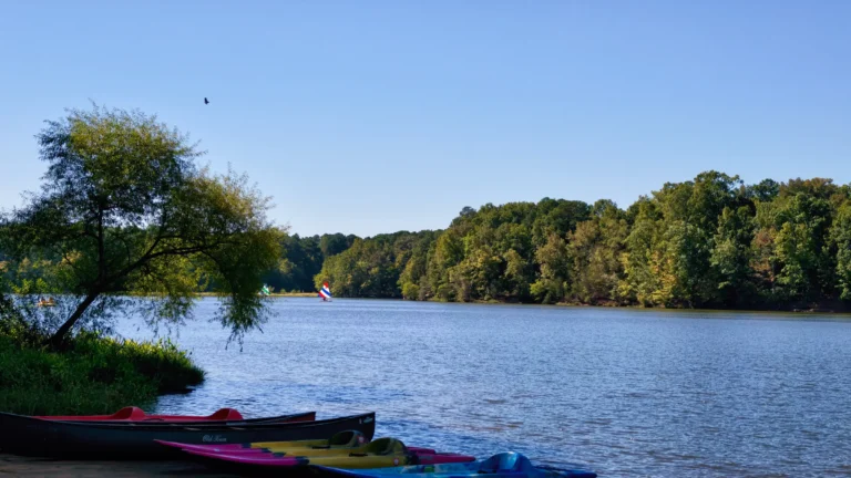 Canoes and kayaks pulled up on the shore of a wide lake with a tree-lined far bank and small sailboats