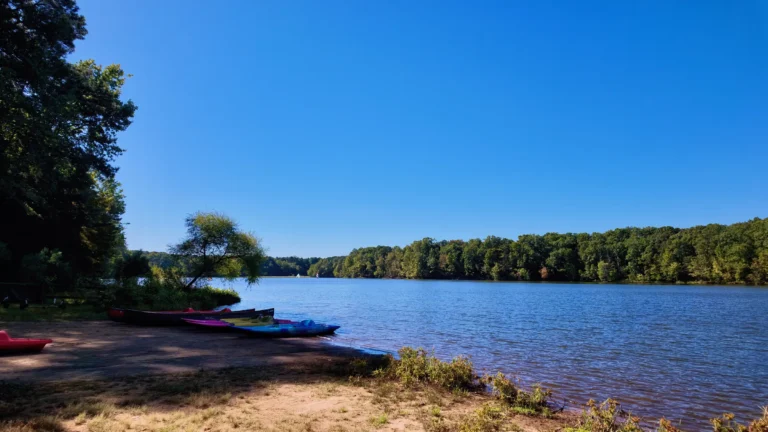 Sandy shoreline with kayaks, a leaning tree and a long view across Bond Lake