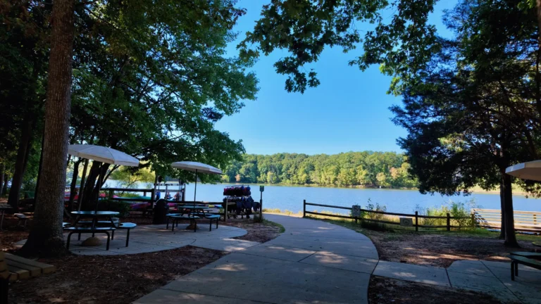 Shaded patio with picnic tables and umbrellas above Bond Lake, a paved path curving toward the water
