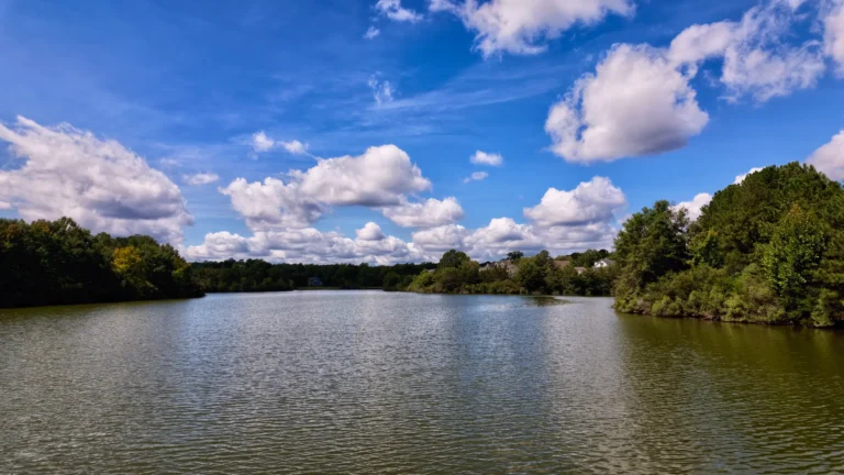Wide view of a calm lake reflecting a blue sky, with a tree line along the far shore