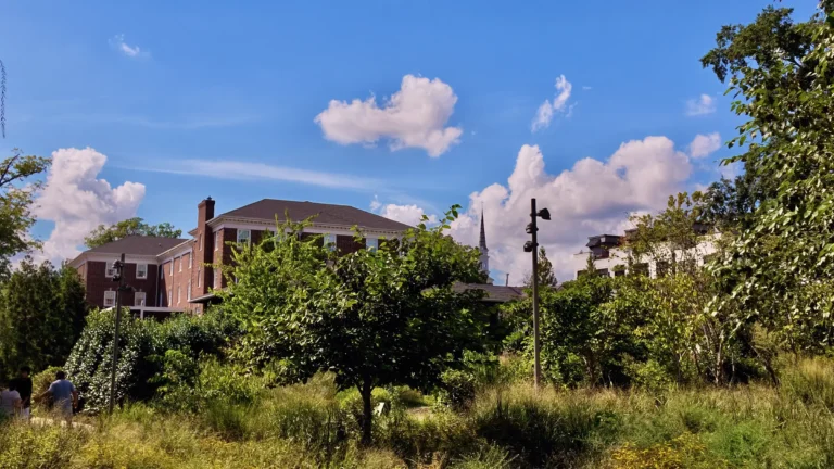 Native plant gardens in the foreground with brick buildings and a church steeple rising behind the trees