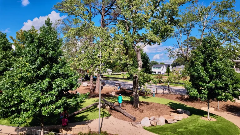Nature play area with logs, boulders and mulch under big shade trees, children playing in the distance