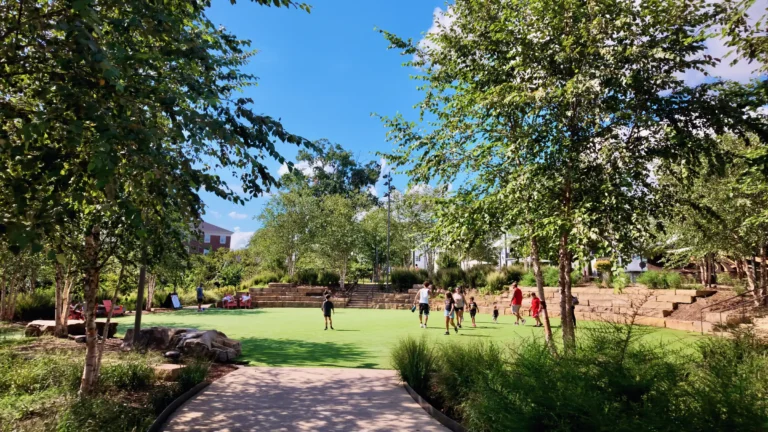 Paved path leading to an open green lawn where people and kids are playing, framed by young trees