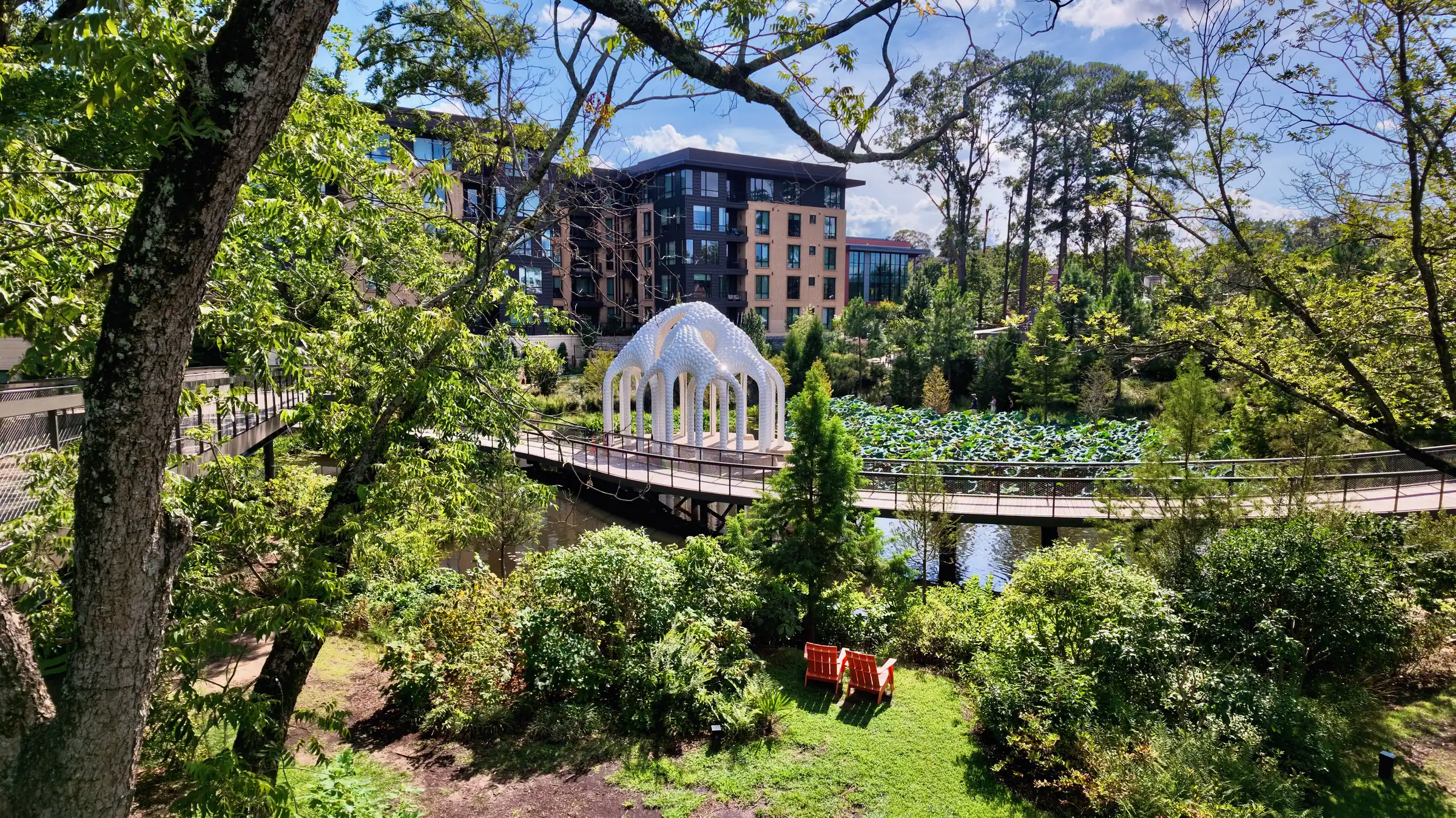 White lattice pavilion on a walkway over a pond of lotus leaves, seen through trees, with apartments behind