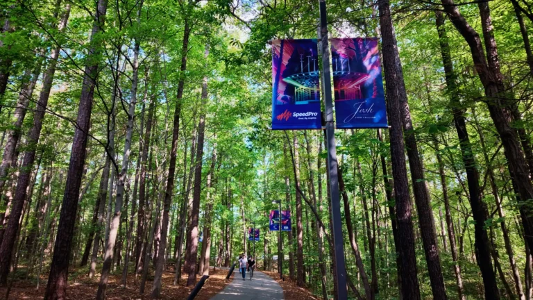 Paved path through a tall pine and hardwood forest, lined with event banners on light poles