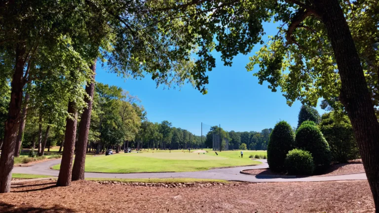 Golf practice range framed by tall pine trunks, a cart path curving past the tee area
