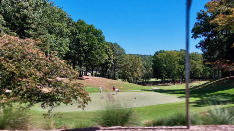 Golf green with players putting, framed by hardwoods and a rolling fairway