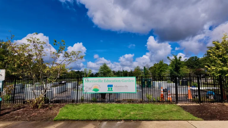 Morrisville Education Garden sign on a black metal fence around raised garden beds, under a bright cloudy sky