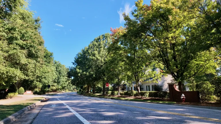 Two-lane street under a canopy of oaks with a brick entrance wall and a white house on the right