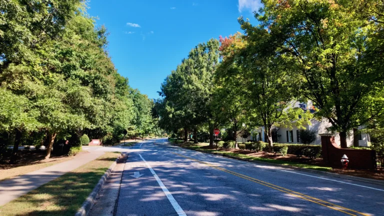 Wide tree-lined street with a bike lane and sidewalk, homes set back behind brick walls